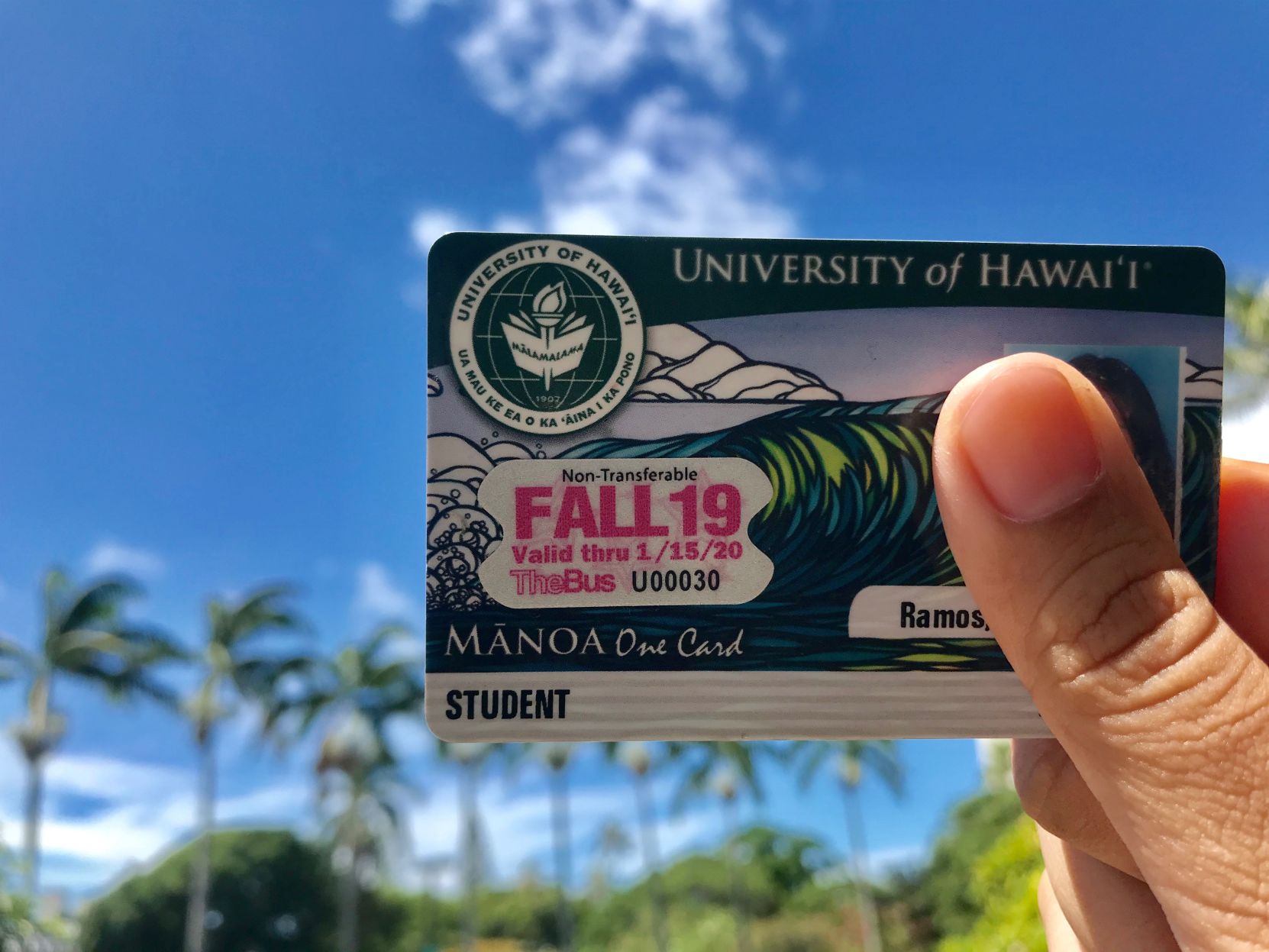Bus Pass Id Card